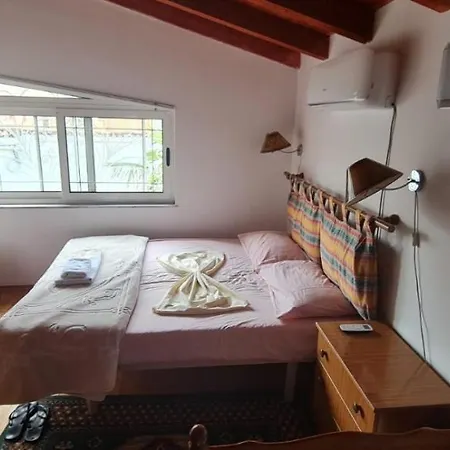 Hapa Te Lehte